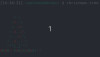bash-merry-christmas.gif, Dec 2022